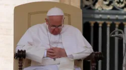Papa Francesco, udienza generale, maggio 2013 / Stephen Driscoll / CNA