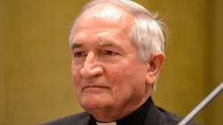Arcivescovo Silvano Maria Tomasi, Osservatore Permanente della Santa Sede presso l'ufficio ONU di Ginevra / Daniel Ibáñez / ACI Group