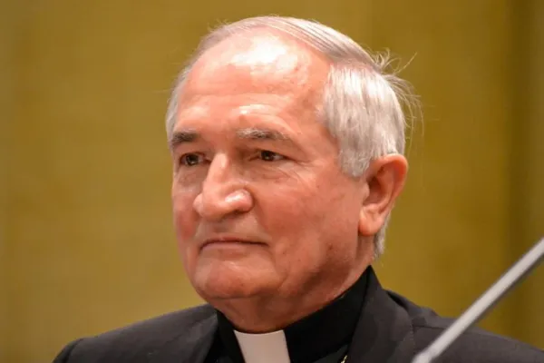 Arcivescovo Silvano Maria Tomasi, Osservatore Permanente della Santa Sede presso l'ufficio ONU di Ginevra / Daniel Ibáñez / ACI Group
