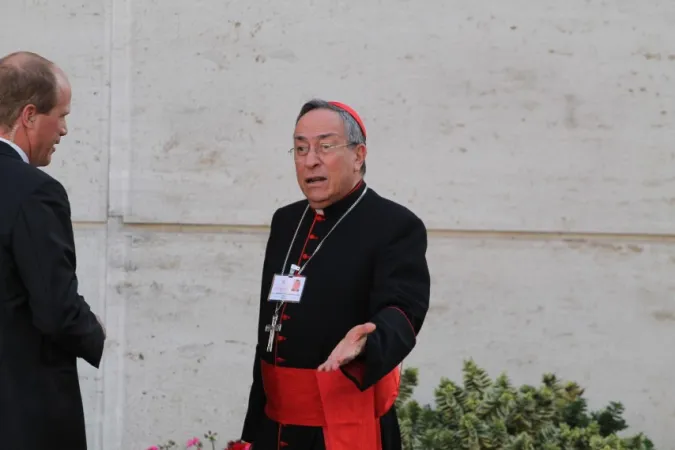 Il cardinale Oscar Rodriguez Maradiaga | Bohumil Petrik/CNA