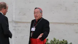 Il cardinale Oscar Rodriguez Maradiaga / Bohumil Petrik/CNA