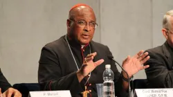 Il Cardinal Wilfried Fox Napier di Durban in un briefing del Sinodo 2014  / CNA archives