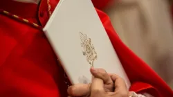Proclamazione dell'Anno Santo, Basilica Vaticana, 13 marzo 2015 / Elise Harris / Catholic News Agency