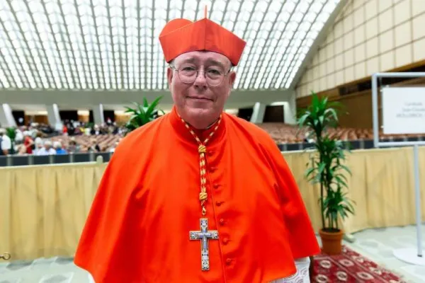 Il Cardinale Jean Claude Hollerich, arcivescovo di Lussemburgo e presidente COMECE / CNA