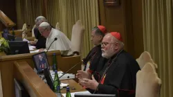 Il Cardinale Reinhard Marx legge la sua relazione su "Trasparenza come comunità di Credenti", incontro sulla Protezione dei Minori nella Chiesa, Aula Nuova del Sinodo, 23 febbraio 2019 / Vatican Media 