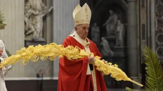 Il Papa: "Dio è con noi in ogni ferita. Le palme e la croce stanno insieme"