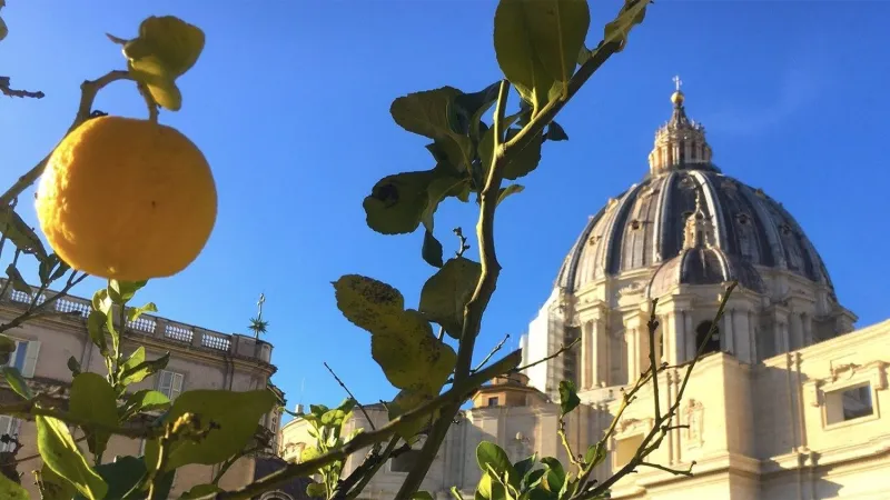 San Pietro | Una veduta della Basilica di San Pietro | Vatican Media