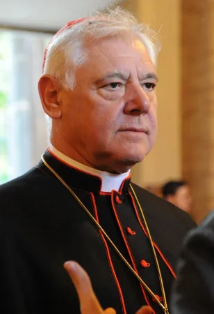 Il cardinale Gerhard Ludwig Müller |  | Carla Morselli