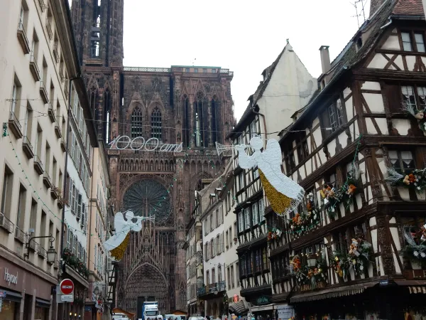 Cattedrale di Strasburgo, novembre 2014 | Andrea Gagliarducci / ACI Group