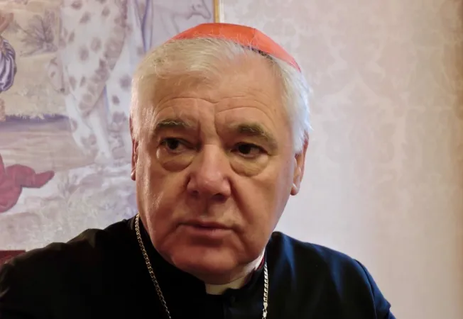 Il cardinale Gerhard Ludwig Müller  |  | Marco Mancini/ Aci Stampa