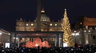 Piazza San Pietro pronta al Natale: acceso l'albero e svelato il Presepe di sabbia