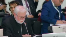 L'arcivescovo Gallagher durante il ministeriale OSCE / Twitter 