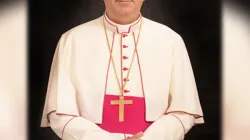 Un ritratto del vescovo Camillo Ballin, scomparso lo scorso 12 aprile / avona.org
