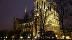 Notre Dame de Paris di notte / Twitter