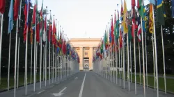 Bandiere all'ingresso delle sede ONU di Ginevra / Wikimedia Commons