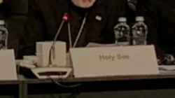 L'arcivescovo Gallagher durante il suo intervento all'OSCE, 5 dicembre 2019 / Missione della Santa Sede a Vienna