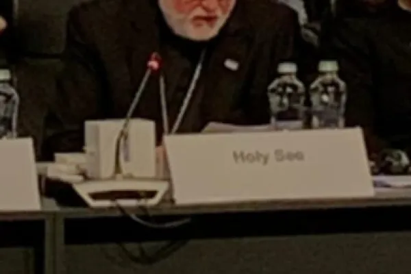 L'arcivescovo Gallagher durante il suo intervento all'OSCE, 5 dicembre 2019 / Missione della Santa Sede a Vienna