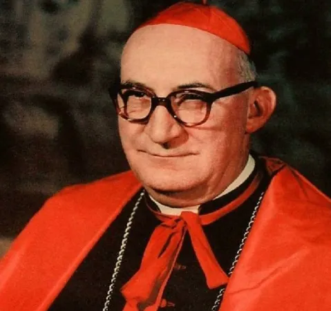 Il Cardinale Franjo Šeper |  | pubblico dominio 