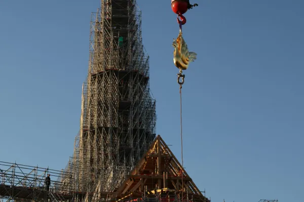 Il nuovo gallo della Basilica di Notre Dame issato sulla cima della guglia / twitter LaVanguardia