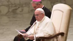 Papa Francesco durante una udienza nell'Aula Paolo VI / ACI Group Archive