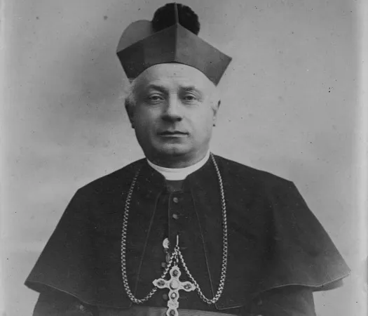 Il Cardinale Gusmini |  | pubblico dominio 