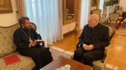 Hilarion e il Cardinale Erdo nel loro incontro di qualche giorno fa / mospat.ru