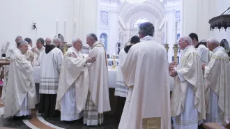 Il Cardinale Parolin per il Perdono di Assisi: "Dio ci vuole portare tutti in paradiso" 