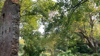 Covid-19: i vescovi brasiliani invitano a piantare un albero per ricordare i defunti