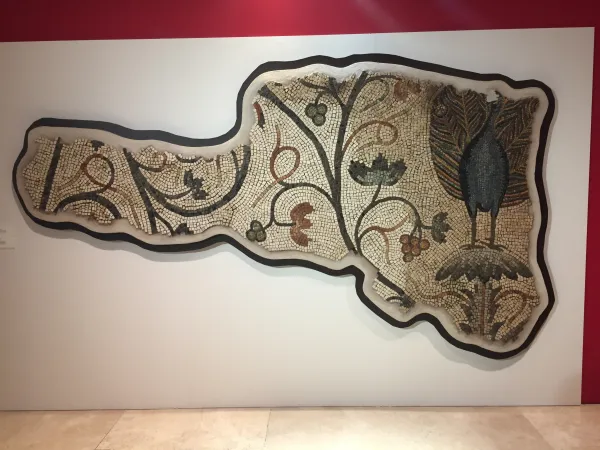 Il mosaico del pavone, uno dei simboli dell' arte aquileiesi del IV secolo DC |  | Fondazione Aquileia 