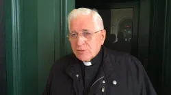 Don Marco Granara, rettore del Santuario della Madonna della Guardia / Marco Mancini / ACI Stampa