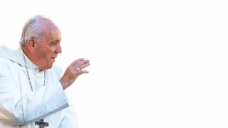 Il Papa: “Lavoriamo tutti insieme come strumenti di Dio per proteggere il creato”