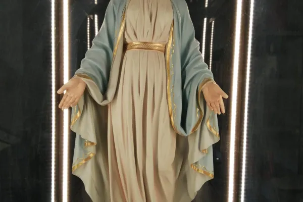 L'immagine della Vergine che si rivelò a Santa Caterina Labouré / Famiglia Vincenziana
