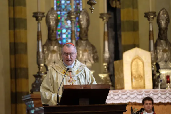 Il Cardinale Parolin durante la Messa conclusiva del Festival di Dottrina Sociale, Verona, 26 novembre 2017 / TandaLab