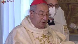 Il Cardinale De Donatis: "Maria è sapiente, non chiede nulla e sa aspettare"