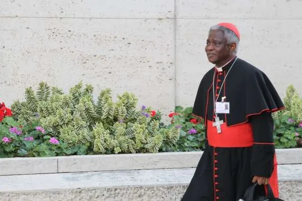 Il Cardinale Peter Turkson |  | Bohumil Petrik CNA