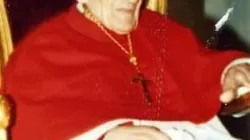 Facebook Kardinal Mikel Koliqi