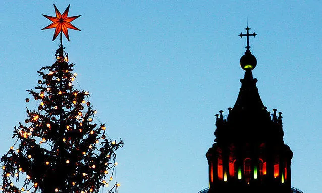 L'albero di Natale in Piazza San Pietro |  | @cc