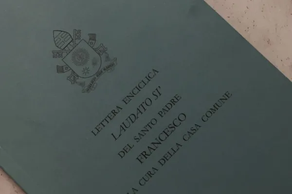 La copertina della edizione italiana di Laudato si' / AA