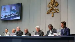 Presentazione della Conferenza sulla Lebbra in Vaticano / Daniel Ibanez / ACI Group