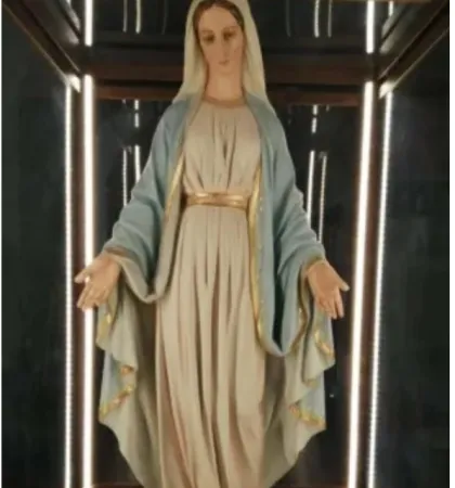 Madonna medaglia miracolosa |  | Famiglia Vincenziana