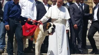 Magnum, il cane San Bernardo, incontra Papa Francesco
