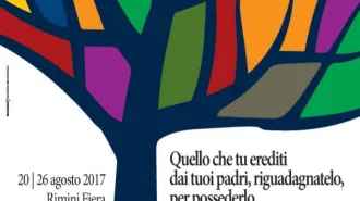 Un albero il simbolo del Meeting di Rimini 2017