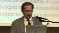 Professor Krzysztof Wielecki / Public Domain