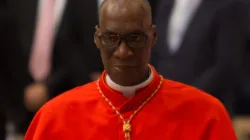 Il Cardinale Zerbo - Daniel Ibanez CNA