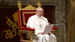 Papa Francesco in una passata udienza in Sala Clementina / Vatican Media / ACI Stampa