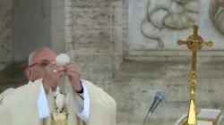 Papa Francesco durante una celebrazione / Vatican Media