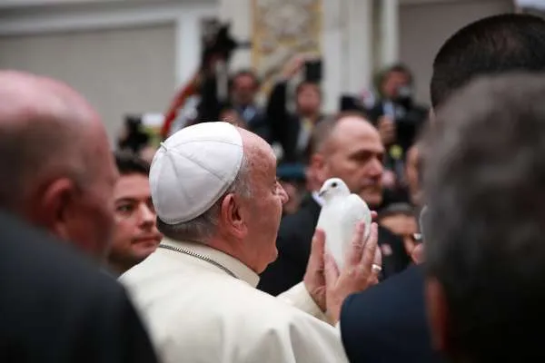 Papa Francesco | Papa Francesco con una colomba tra le mani, durante il viaggio in Turchia, Novembre 2014 | Daniel Ibáñez / CNA