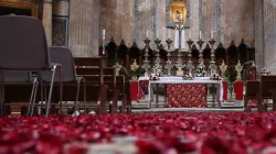 Le rose al Pantheon / Daniel Ibañez 