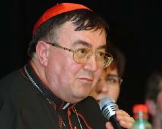 Cardinale Vinko Puljic | Il Cardinale Vinko Puljic durante una conferenza stampa | Catholic News Agency