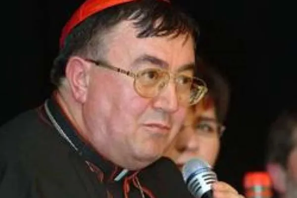 Il Cardinale Vinko Puljic durante una conferenza stampa / Catholic News Agency